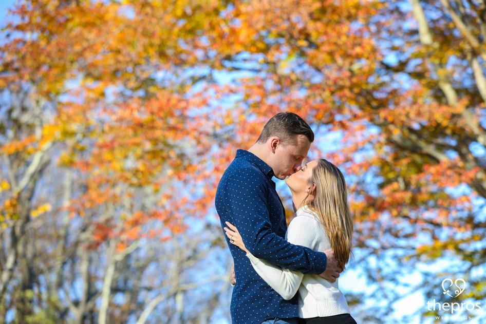 Fall in Love