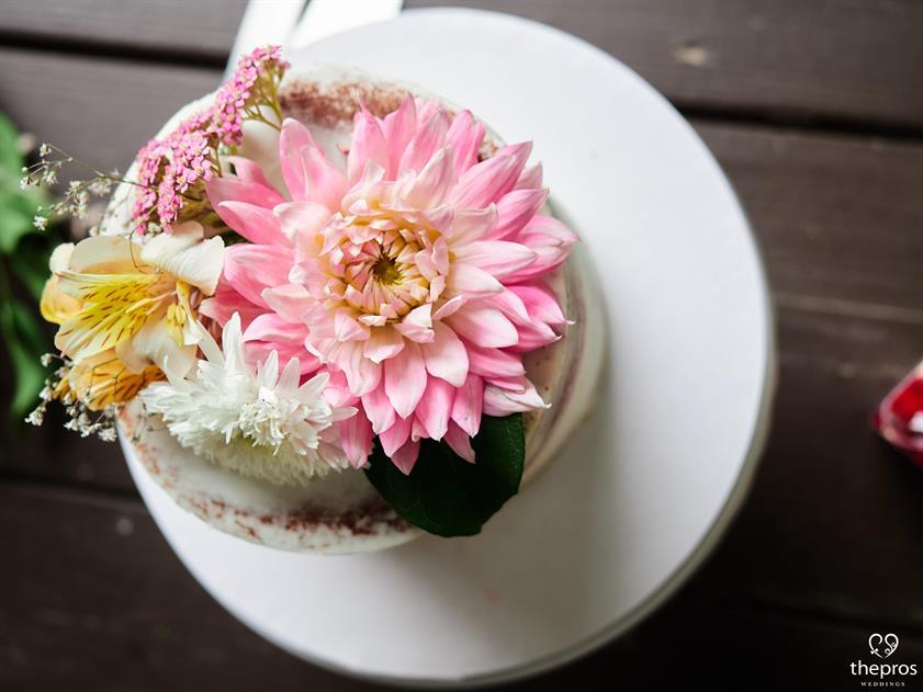 Let Them Eat Cake!