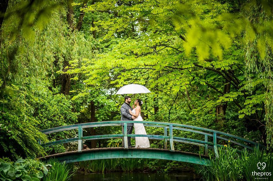 She's My Kind of Rain