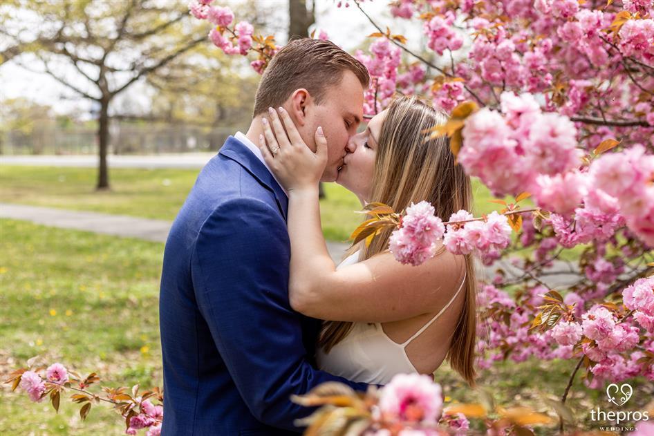 Everything's Coming Up Roses