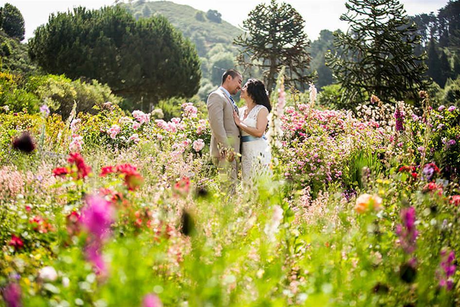 Secret Garden