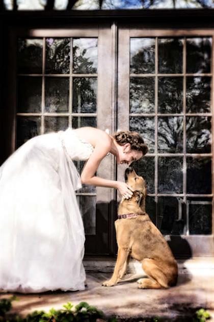 Puppy Love